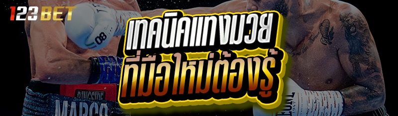 เทคนิคแทงมวย ที่มือใหม่ต้องรู้